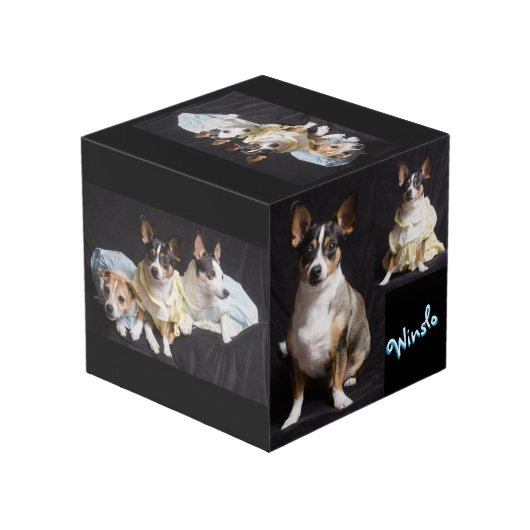 Volledig aanpasbare fotokubus (Achter hoekig)
