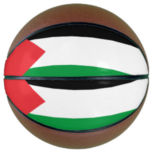 Volledig basketbal met de vlag van Palestina