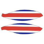 Volledig basketbal met vlag van Costa Rica (Panelen)