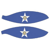 Volledig Basketball met vlag van Houston Basketbal (Panelen)