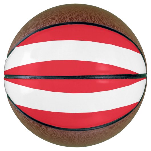 Volledig Basketball met vlag van Oostenrijk Mini Basketbal (Voorkant)
