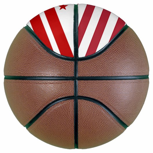 Volledig Basketball met vlag van Washington DC Mini Basketbal (Rechts)