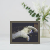 Volledig chilline' Briefkaart (Staand voorkant)