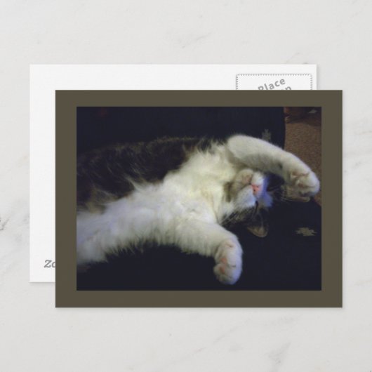 Volledig chilline' Briefkaart (Voorkant / Achterkant)