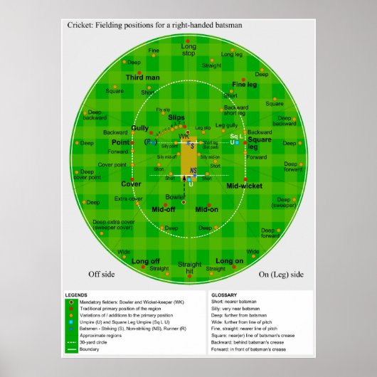 Volledig diagram van cricketposities poster (Voorkant)