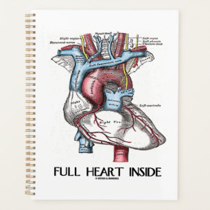 Volledig hart in anatomische illustratie planner