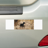 volledig in het veld bumpersticker (Op auto)