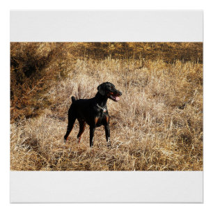 volledig in het veld poster