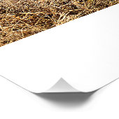 volledig in het veld poster (Hoek)