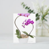 Volledig lijst Orchid geïsoleerd op een witte acht Briefkaart (Staand voorkant)