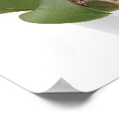 Volledig lijst Orchid geïsoleerd op een witte acht Poster (Hoek)