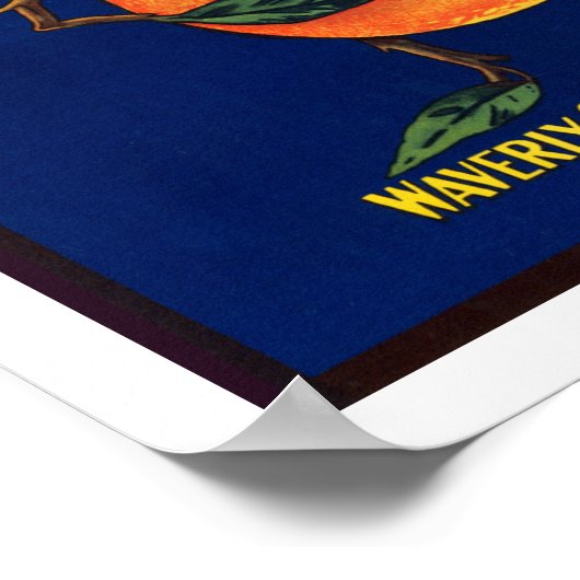 Volledig merklabel voor Sinaasappels Poster (Hoek)