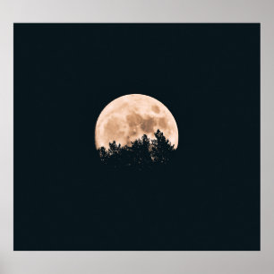 VOLLEDIG MOON ACHTER EEN TREE SILHOUETTES POSTER