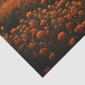 Volledig Oranje veld van bloemen ontkoppeling Tissuepapier (Detail)