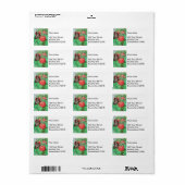 Volledig rijp etiket (Full Sheet)