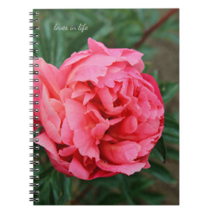 Volledig roze pioen notitieboek