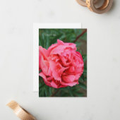 Volledig roze pioen notitiekaartje (Voorkant / Achterkant in situ)