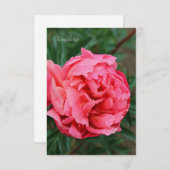 Volledig roze pioen notitiekaartje (Voorkant / Achterkant)