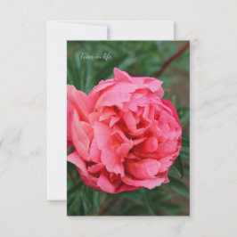 Volledig roze pioen notitiekaartje