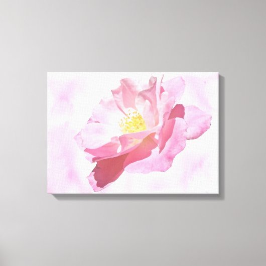 Volledig roze Roos bloesem Canvas Afdruk (Voorkant)