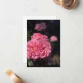 Volledig roze roze roze roze roze notitiekaartje (Voorkant / Achterkant in situ)