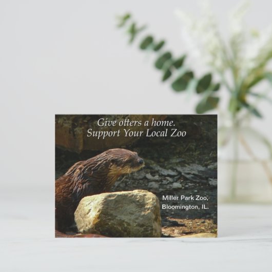 Volledig Schattig Briefkaart (Staand voorkant)