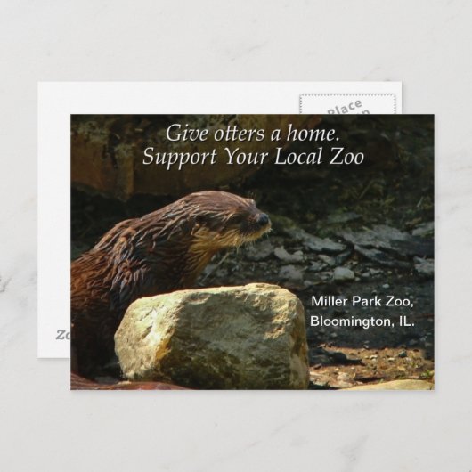 Volledig Schattig Briefkaart (Voorkant / Achterkant)