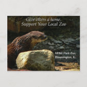 Volledig Schattig Briefkaart (Voorkant)