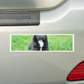 Volledig Schattige Puppy Bumpersticker (Op auto)