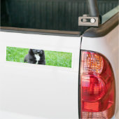 Volledig Schattige Puppy Bumpersticker (Op Truck)