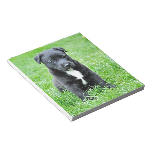 Volledig Schattige Puppy Notitieblok (Schuin)