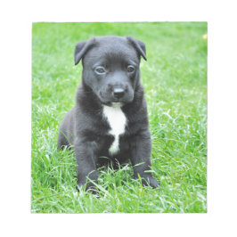 Volledig Schattige Puppy Notitieblok