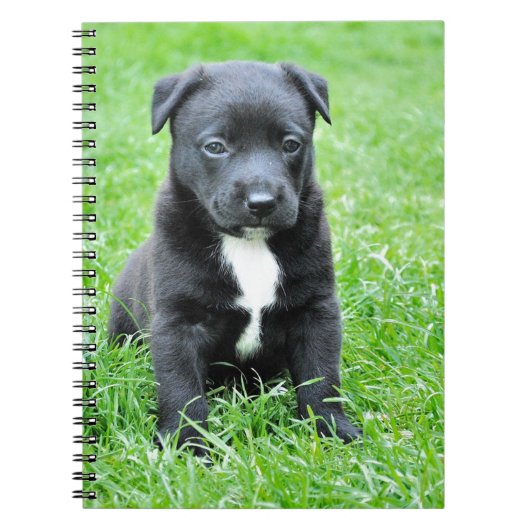 Volledig Schattige Puppy Notitieboek (Voorkant)
