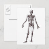 Volledig Skelet Briefkaart (Voorkant / Achterkant)