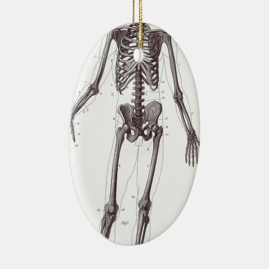 Volledig Skelet Keramisch Ornament (Rechts)