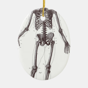 Volledig Skelet Keramisch Ornament
