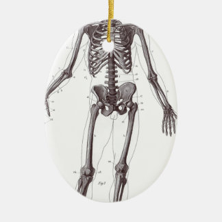 Volledig Skelet Keramisch Ornament