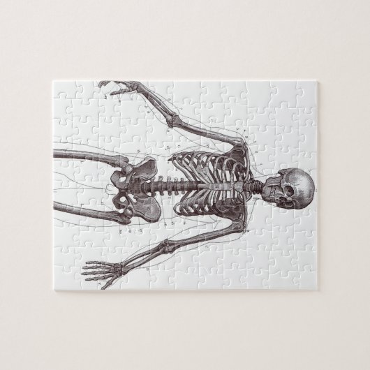 Volledig Skelet Legpuzzel (Horizontaal)