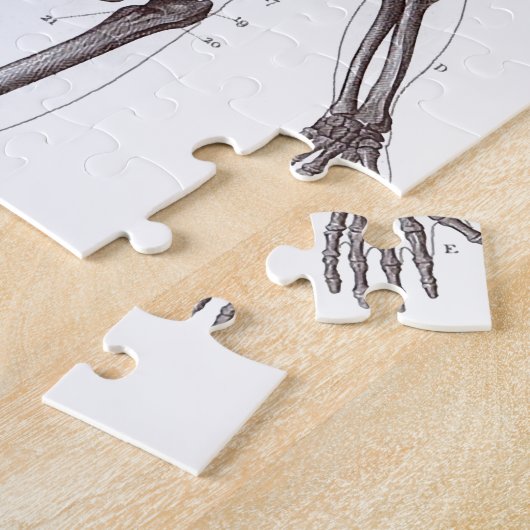 Volledig Skelet Legpuzzel (Zijkant)