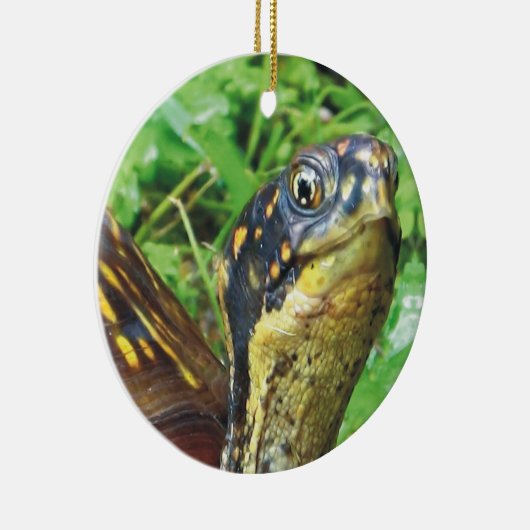 Volledig Turtles schildpad kerstversiering Keramisch Ornament (Rechts)