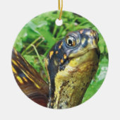 Volledig Turtles schildpad kerstversiering Keramisch Ornament (Voorkant)