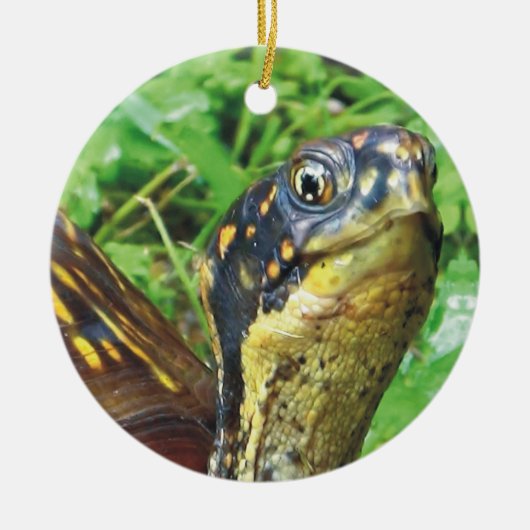 Volledig Turtles schildpad kerstversiering Keramisch Ornament (Voorkant)
