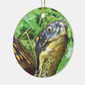 Volledig Turtles schildpad kerstversiering Keramisch Ornament (Links)