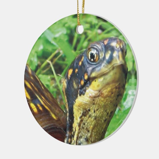 Volledig Turtles schildpad kerstversiering Keramisch Ornament (Links)