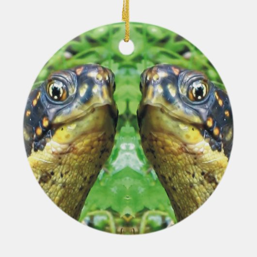 Volledig Turtles schildpad kerstversiering Keramisch Ornament (Achterkant)