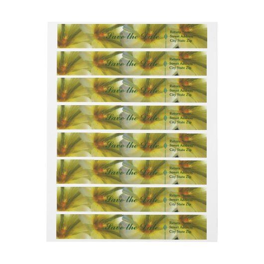 Volledig van Geluk sparen de Datum Adreslabel Wikkel (Vel)