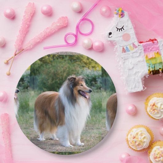 volledige 5 ruwe collie.png papieren bordje (Feest)