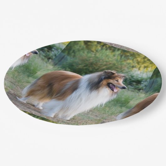 volledige 5 ruwe collie.png papieren bordje (Gekanteld)