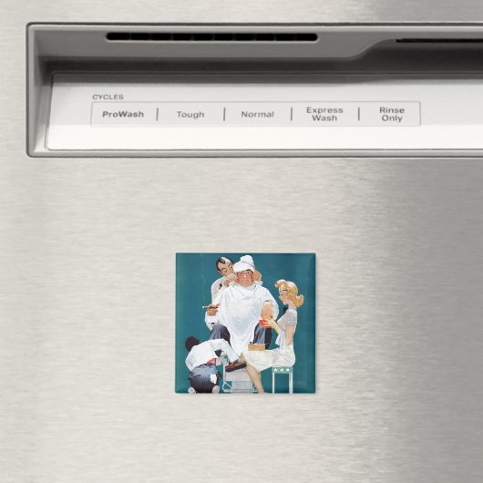 Volledige behandeling magneet (Insitu (Vaatwasser))