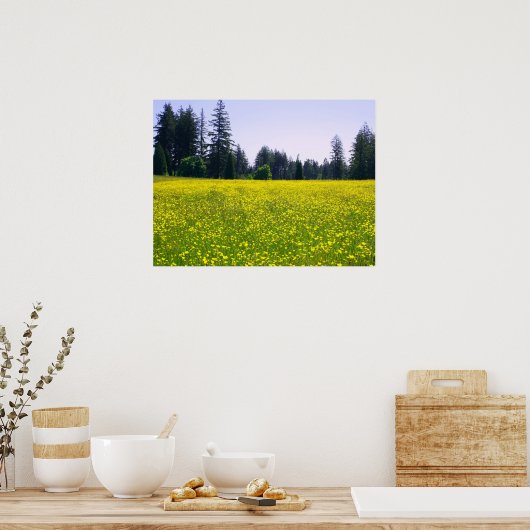 Volledige bloei poster (Keuken)